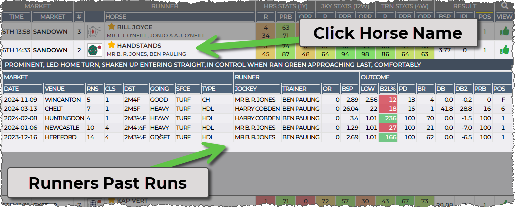 Runners past run are show under the runner in the table as a child row to the main runner row. Run comments are show when the past race is hovered over, 